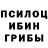 Псилоцибиновые грибы Cubensis BigShaq10