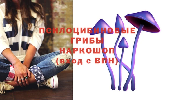 не бодяженный Белокуриха