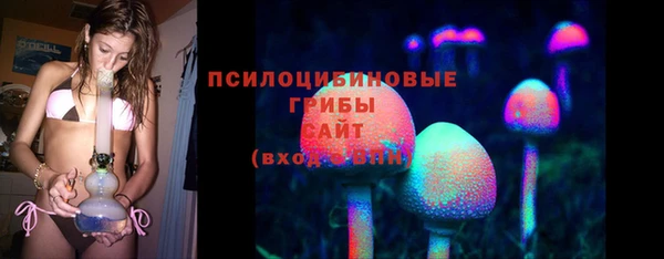 не бодяженный Белокуриха