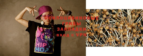 не бодяженный Белокуриха